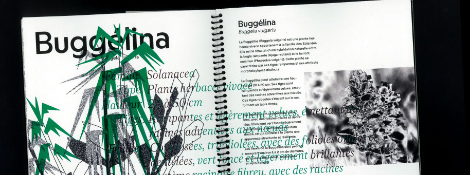 edition recette du futur, designer graphique Marseille