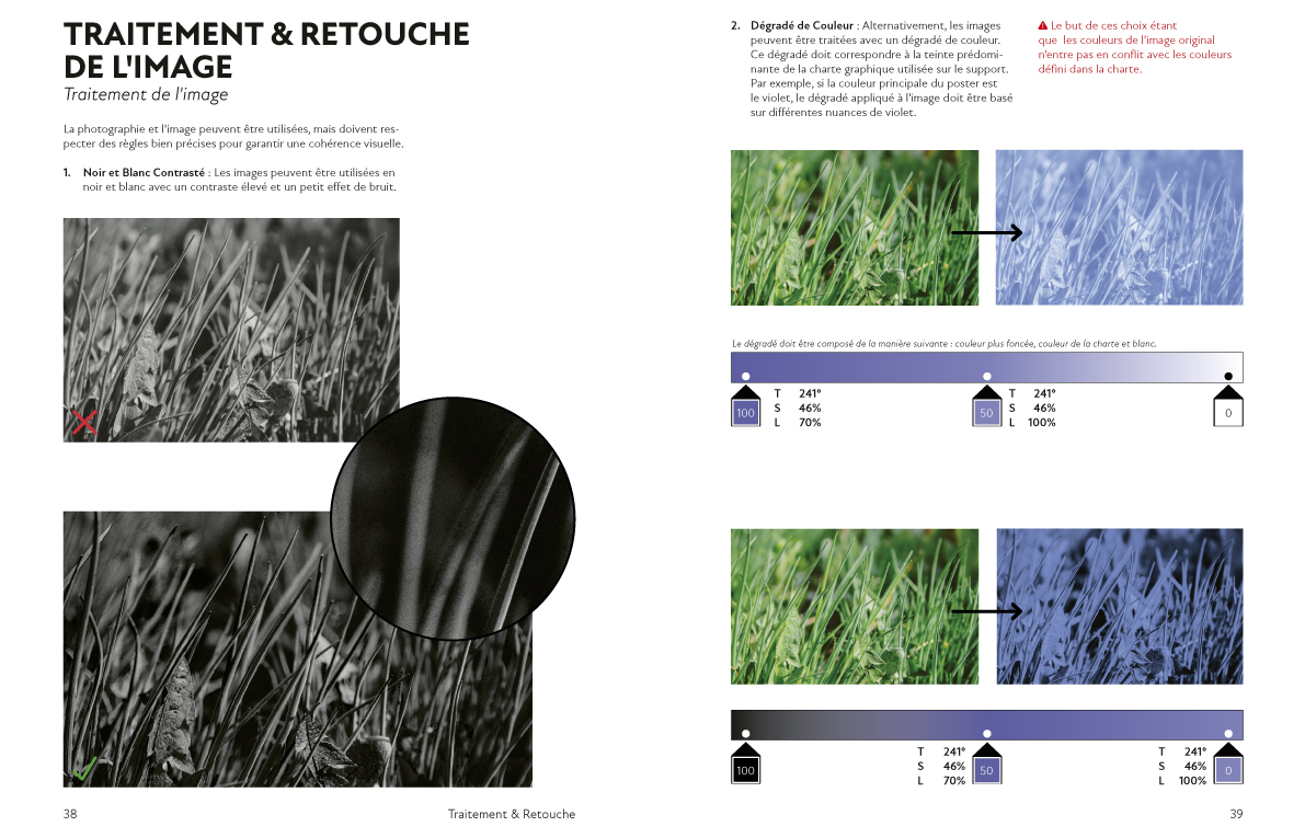 charte graphique média d'anticipation, designer graphique Marseille