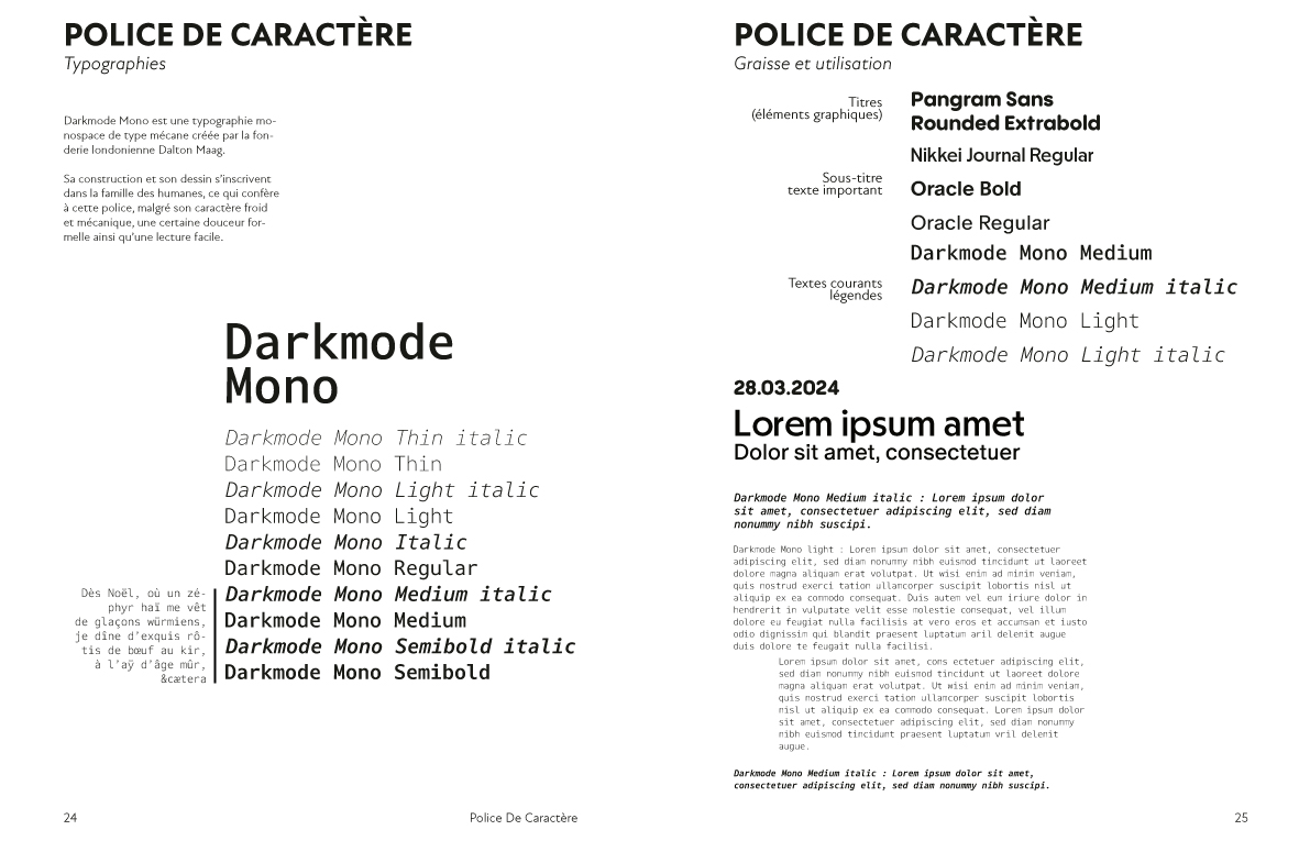 charte graphique média d'anticipation, designer graphique Marseille