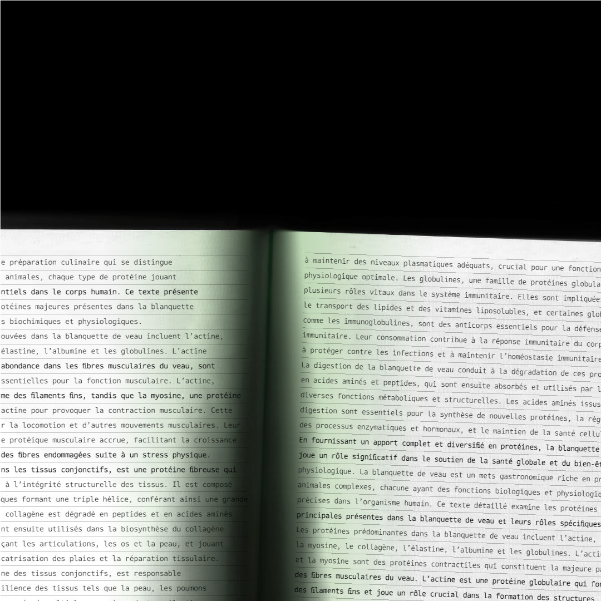 charte et règle graphique