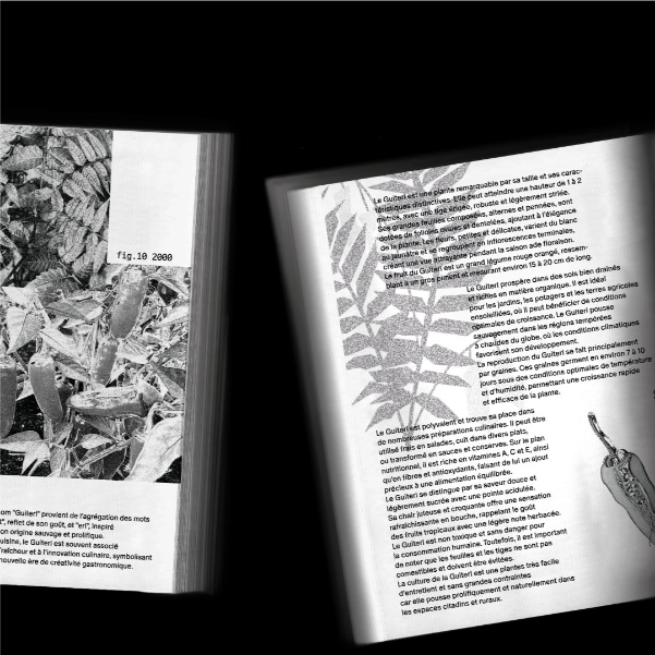 charte et règle graphique