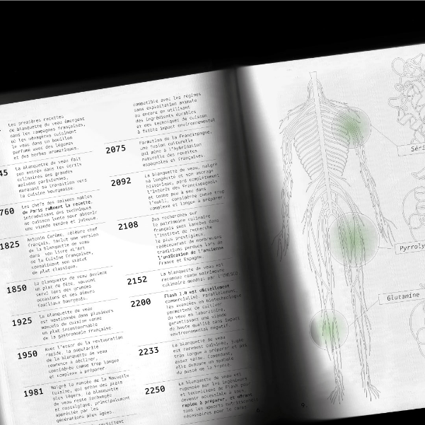 charte et règle graphique