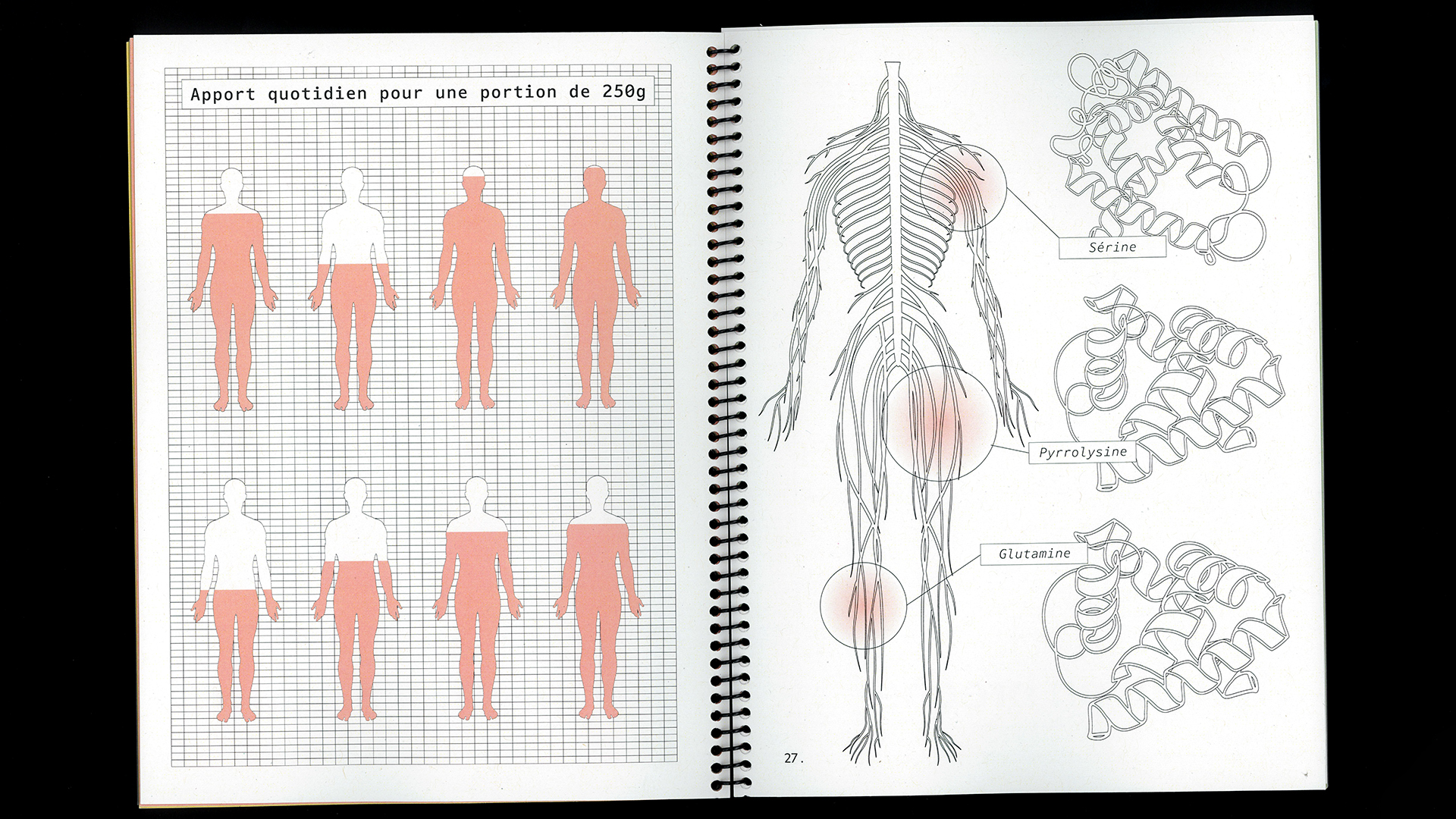 edition flash, recette du futur, Marine Terrin, designer graphique 
