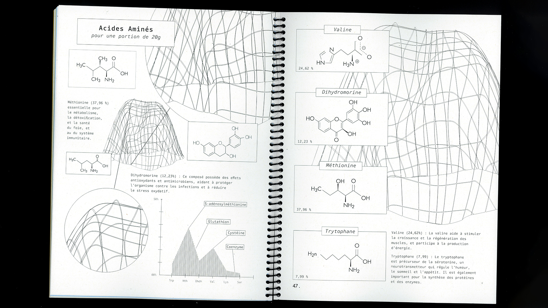 edition flash, recette du futur, Marine Terrin, designer graphique 