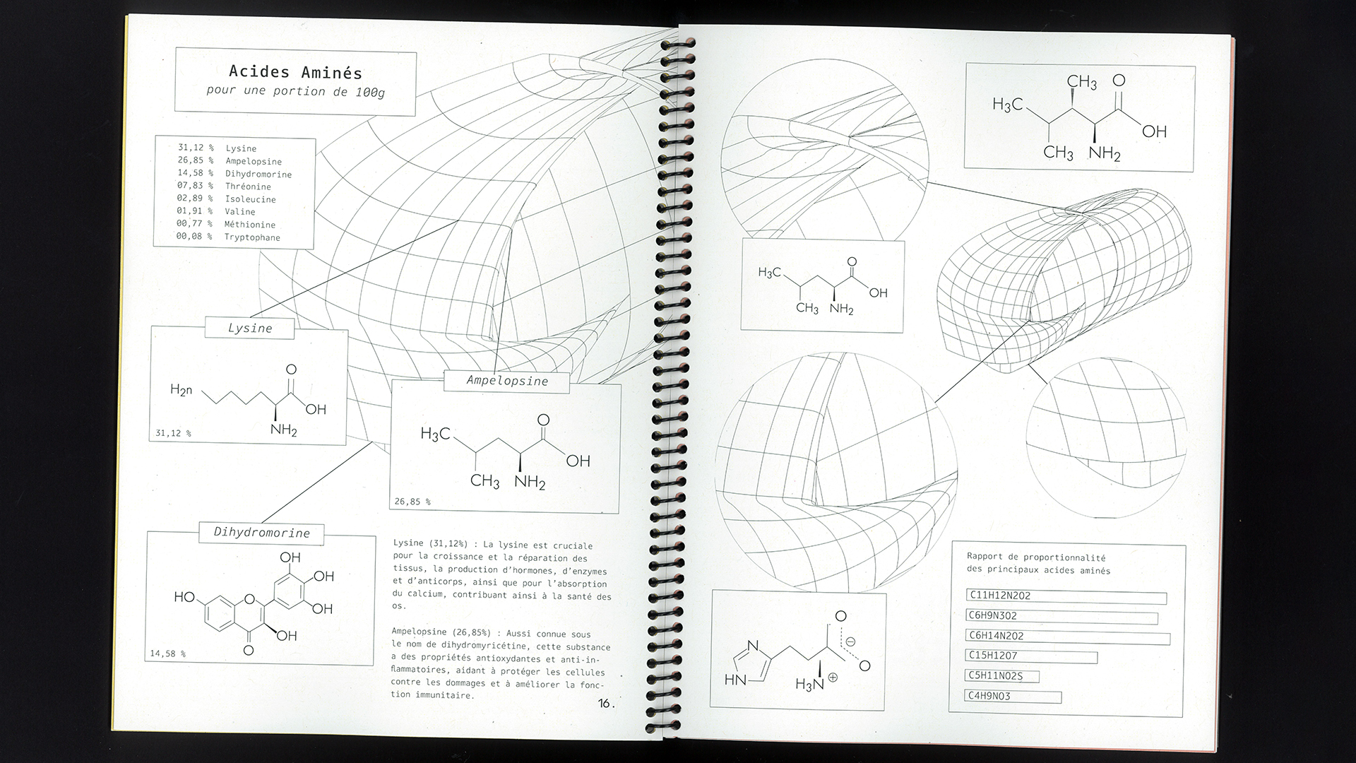 edition flash, recette du futur, Marine Terrin, designer graphique 