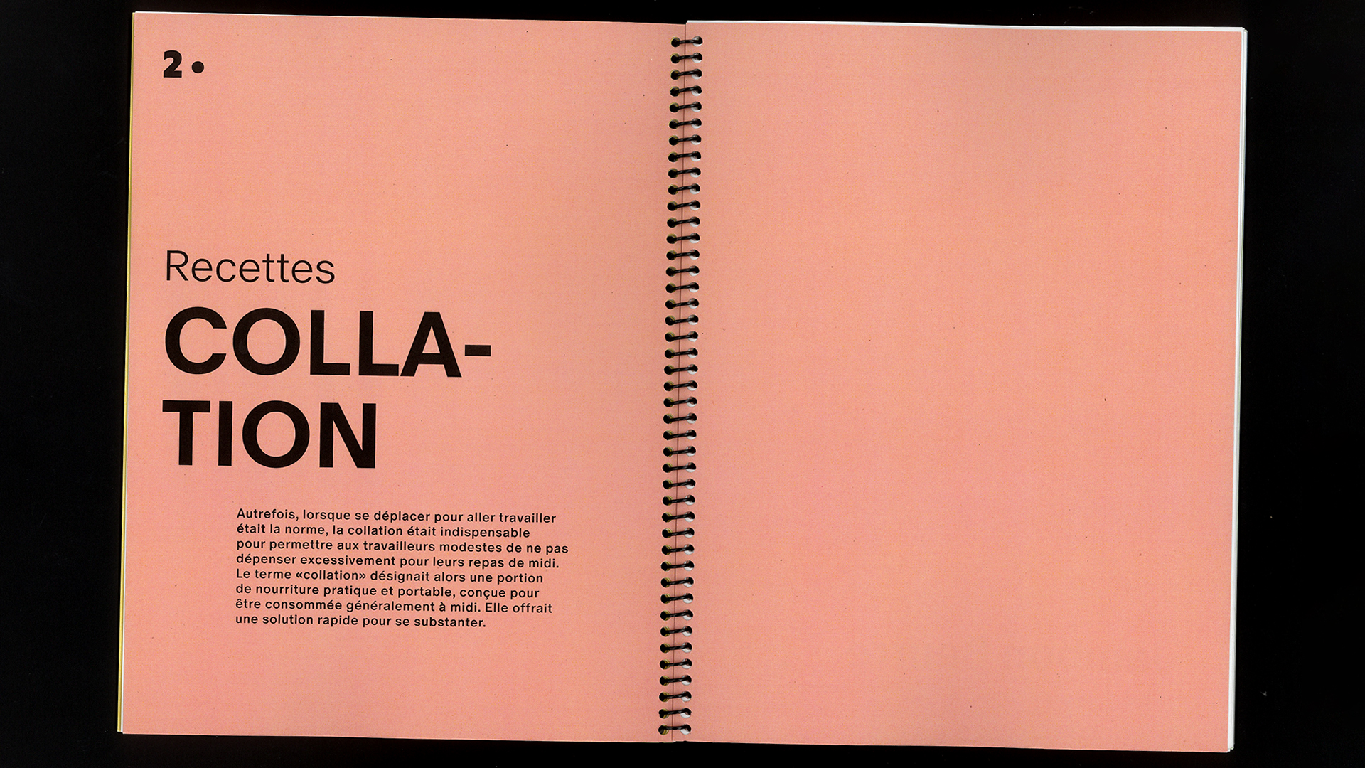 edition flash, recette du futur, Marine Terrin, designer graphique 