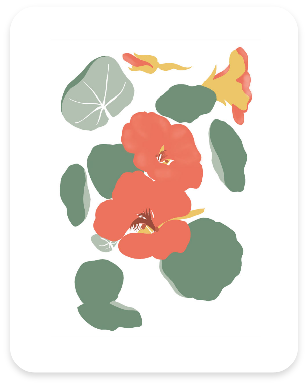 charte et règle graphique