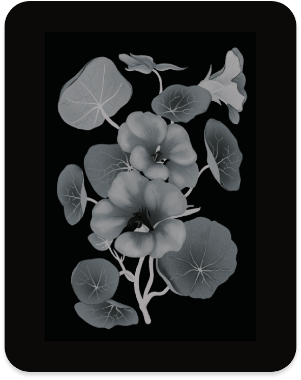 charte et règle graphique