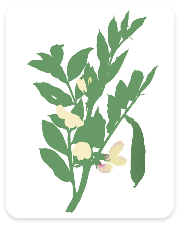 charte et règle graphique