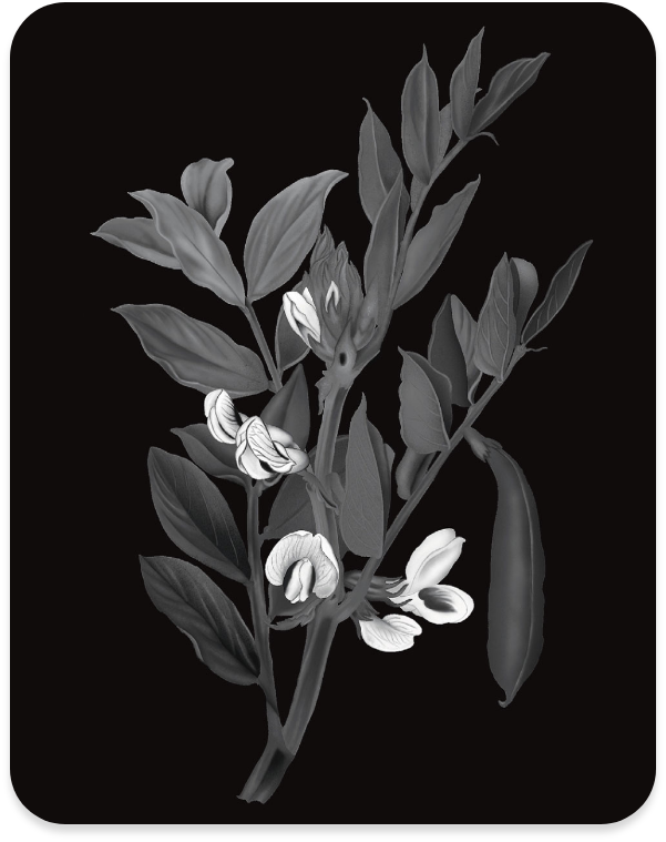 charte et règle graphique