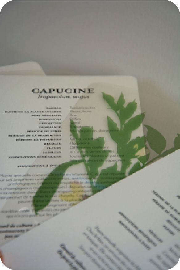 charte et règle graphique