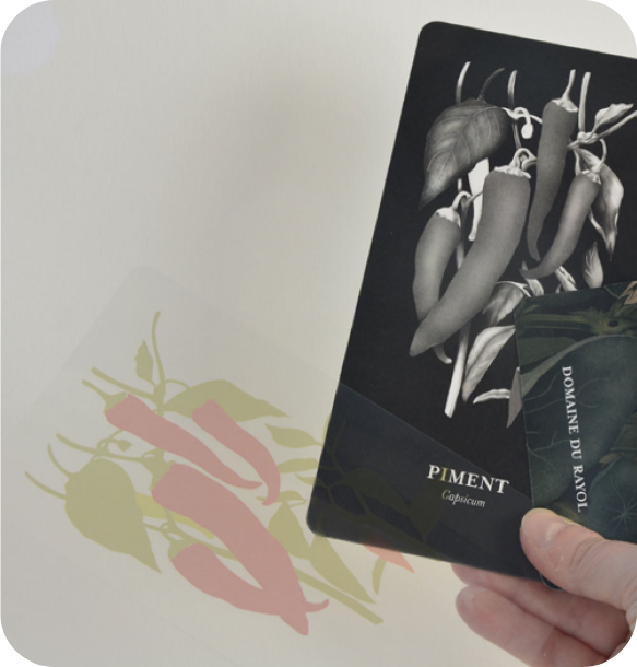 charte et règle graphique