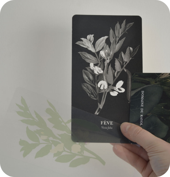 charte et règle graphique