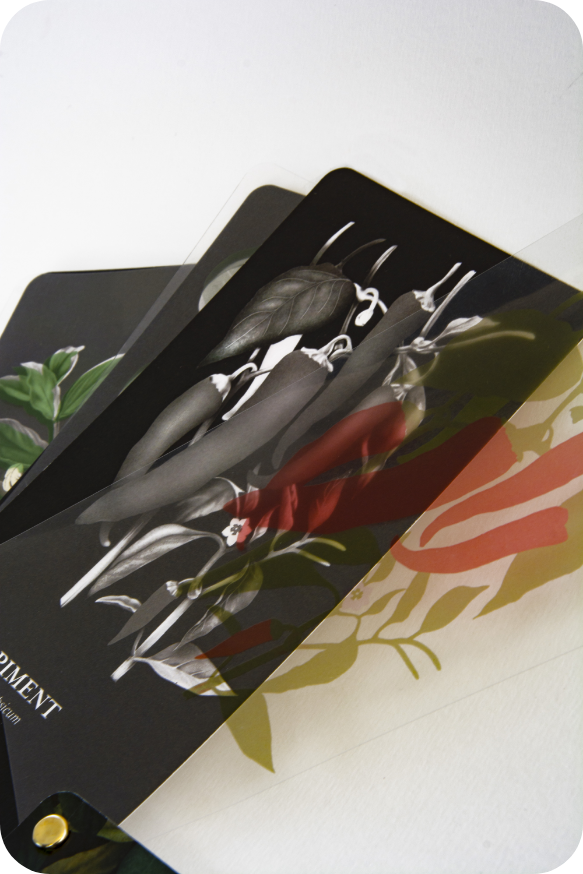 charte et règle graphique