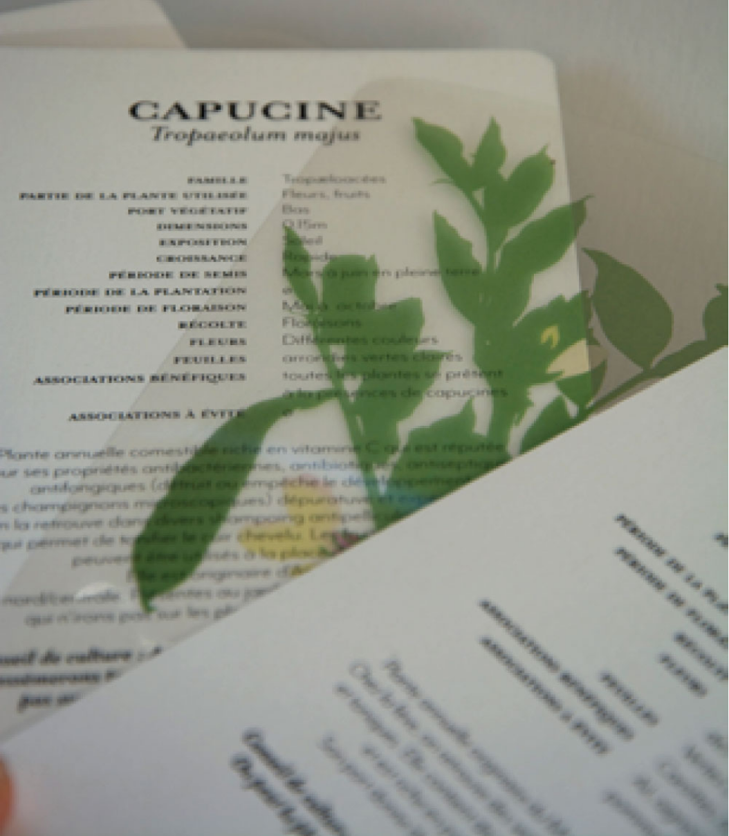 charte et règle graphique