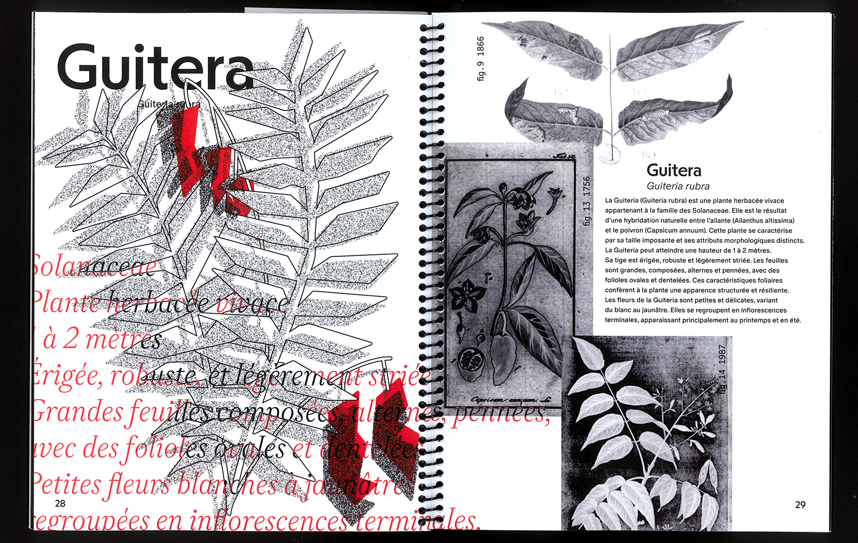 edition hybride, recette du futur, Marine Terrin, designer graphique 