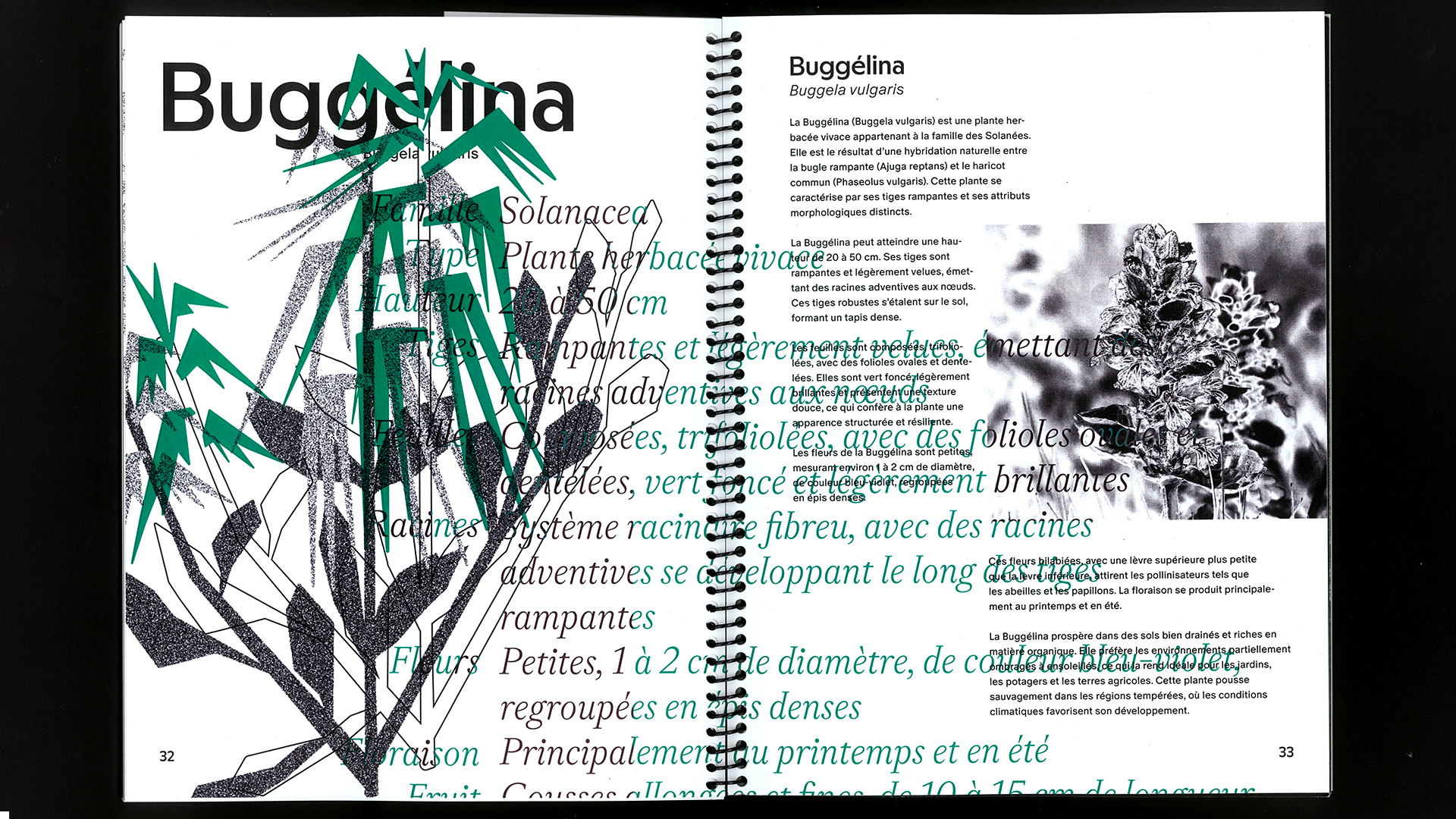 edition hybride, recette du futur, Marine Terrin, designer graphique 