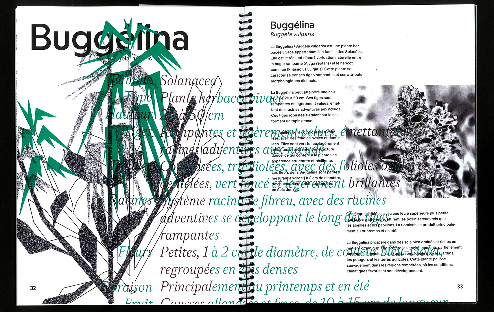 edition hybride, recette du futur, Marine Terrin, designer graphique 