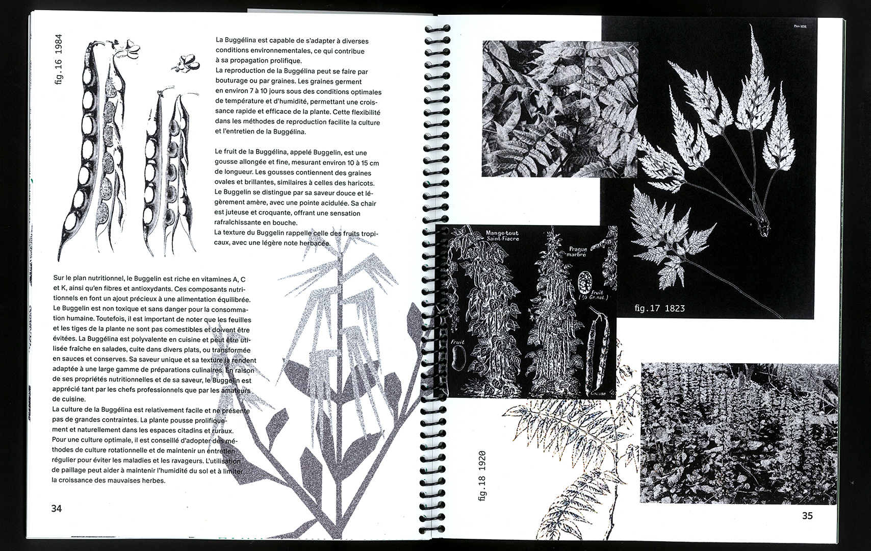 edition hybride, recette du futur, Marine Terrin, designer graphique 