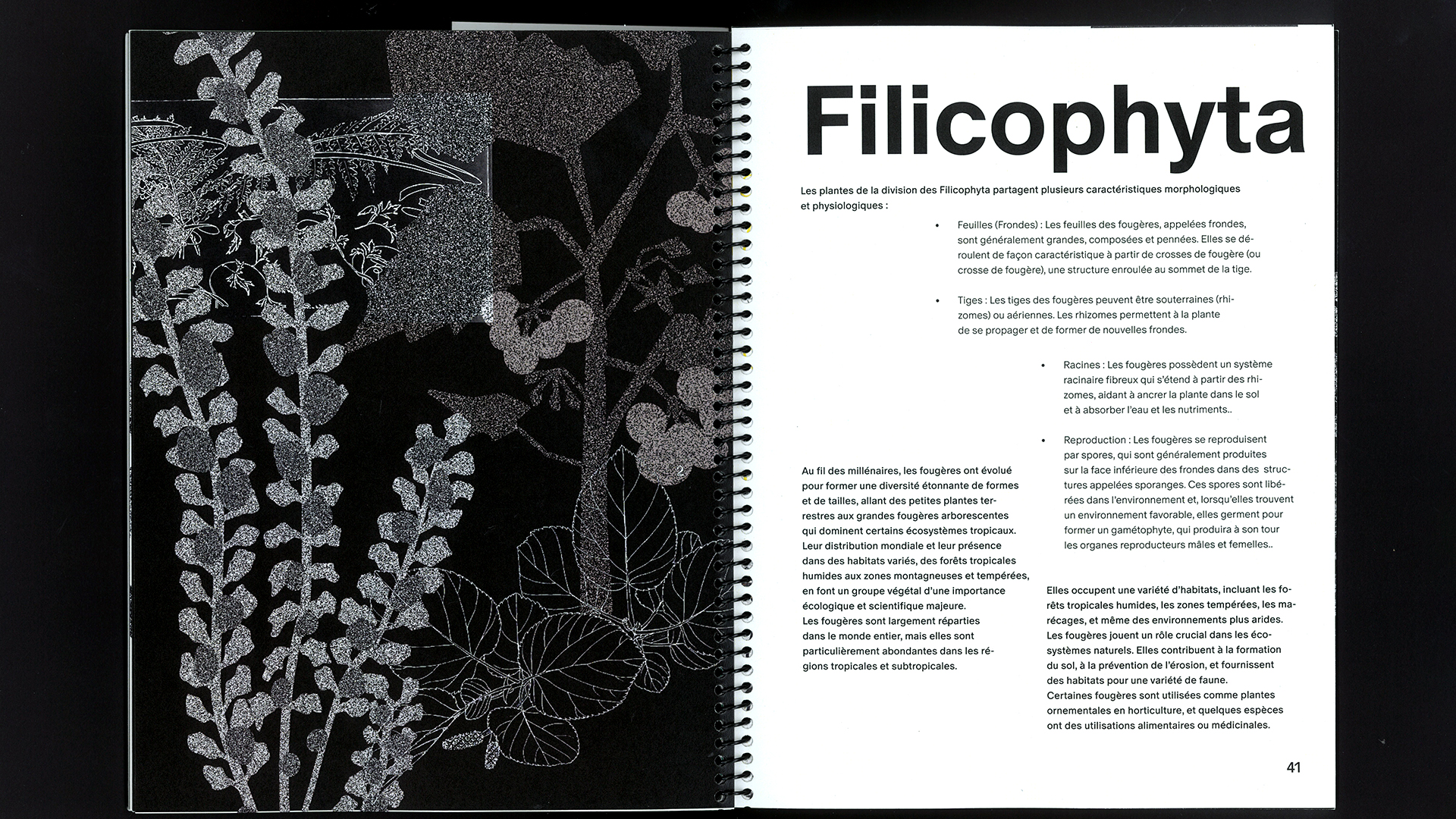 edition hybride, recette du futur, Marine Terrin, designer graphique 