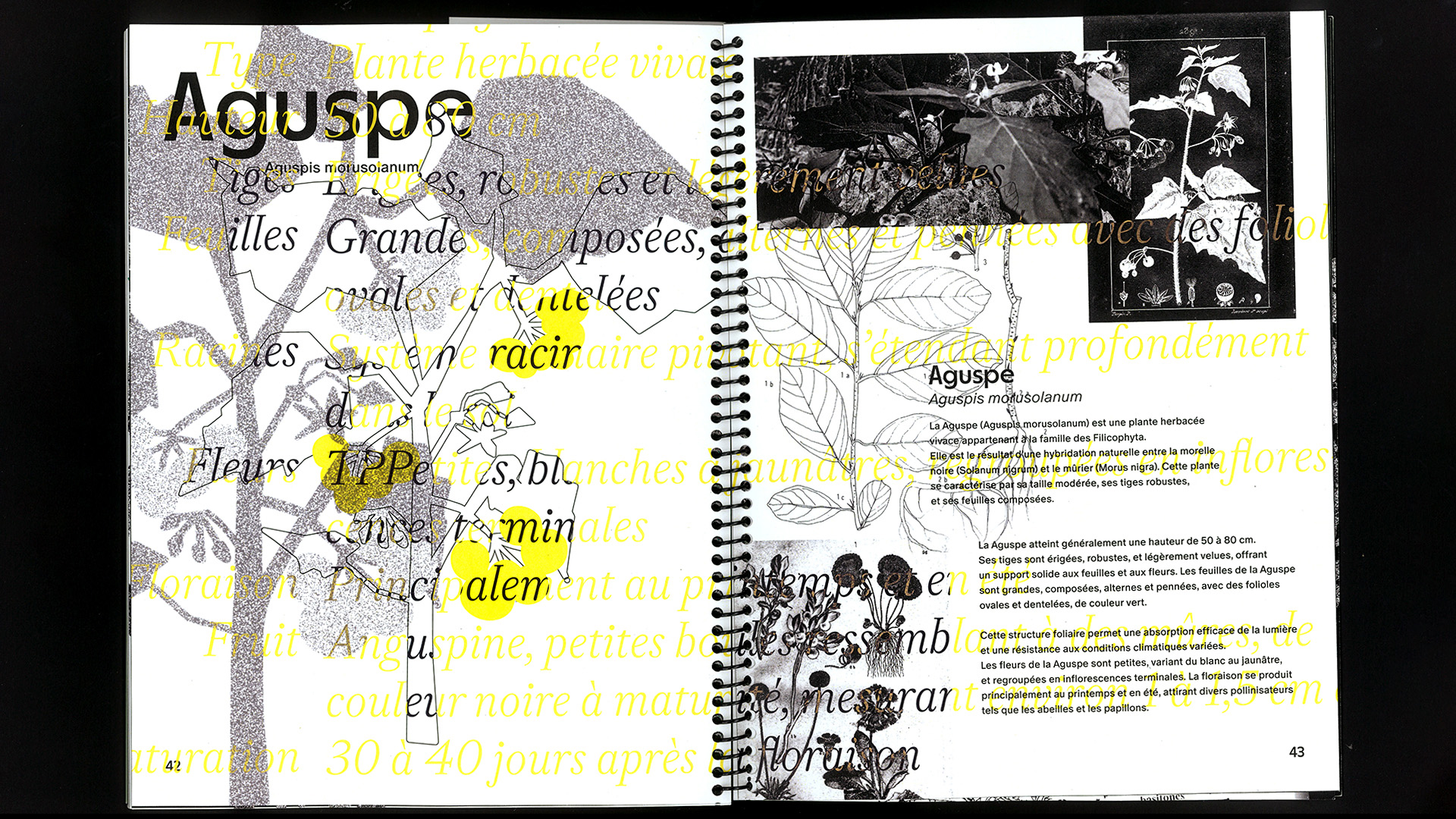 edition hybride, recette du futur, Marine Terrin, designer graphique 