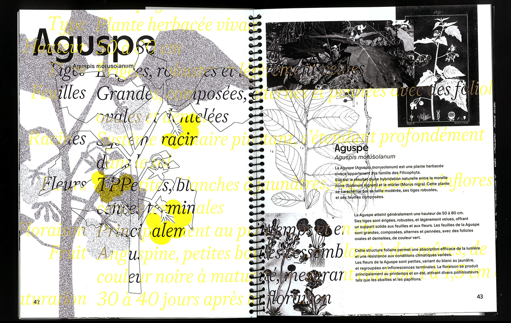 edition hybride, recette du futur, Marine Terrin, designer graphique 