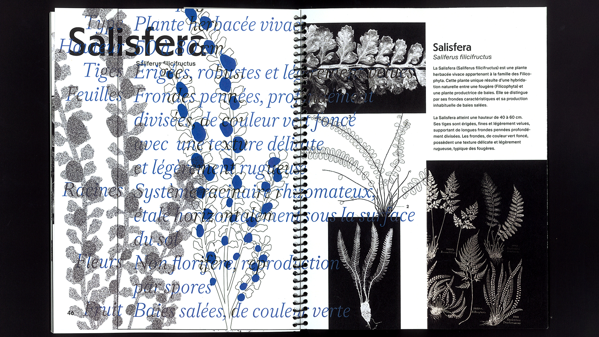 edition hybride, recette du futur, Marine Terrin, designer graphique 