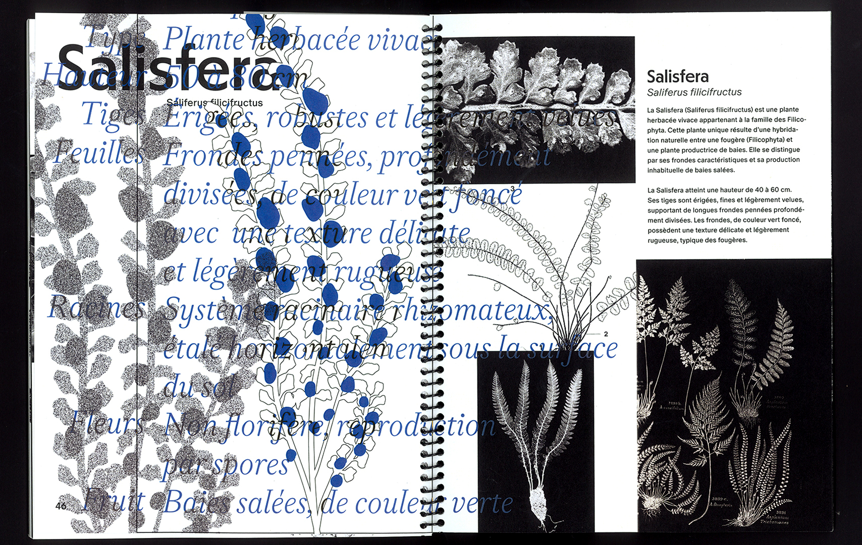 edition hybride, recette du futur, Marine Terrin, designer graphique 