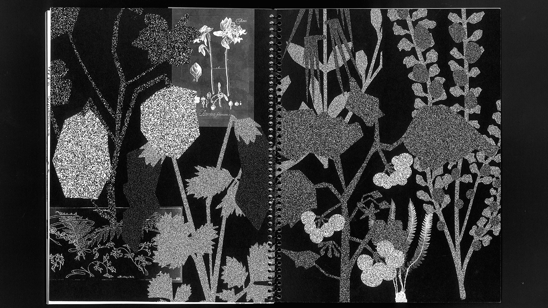 edition hybride, recette du futur, Marine Terrin, designer graphique 