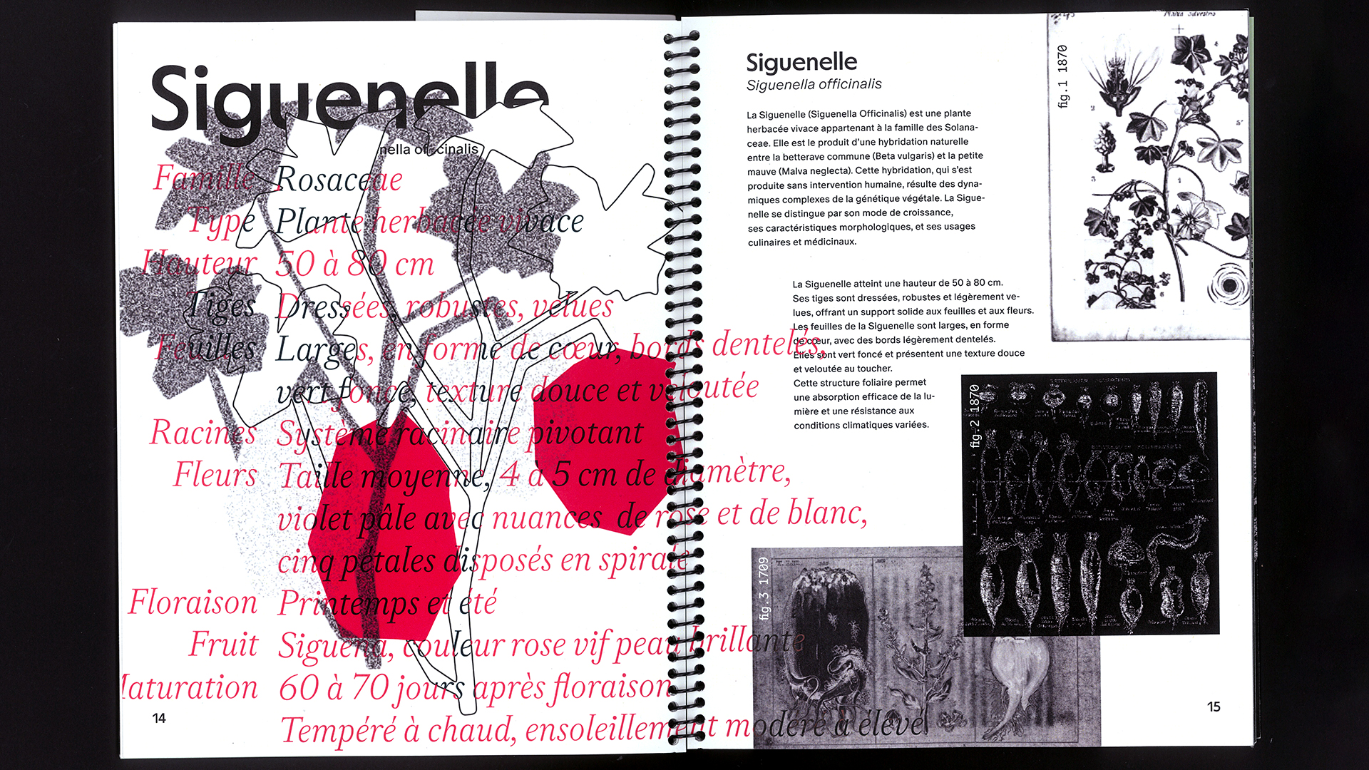 edition hybride, recette du futur, Marine Terrin, designer graphique 