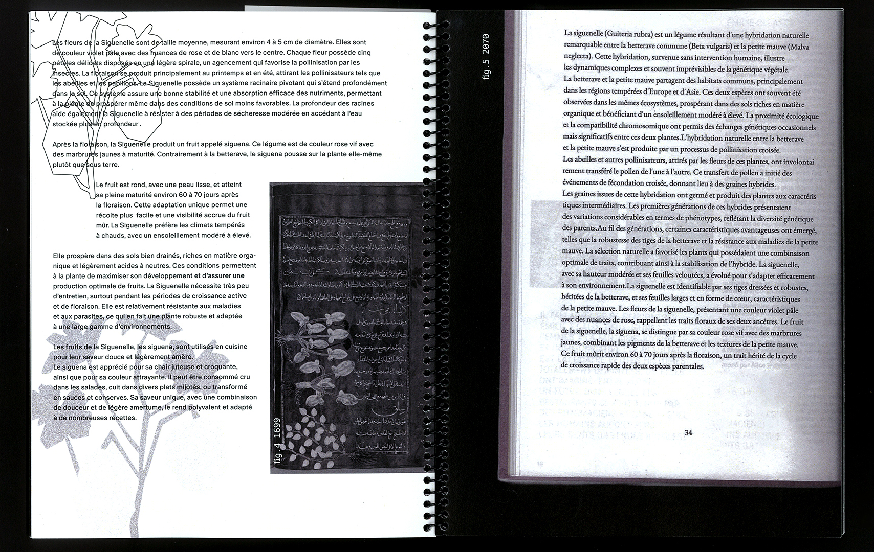 edition hybride, recette du futur, Marine Terrin, designer graphique 