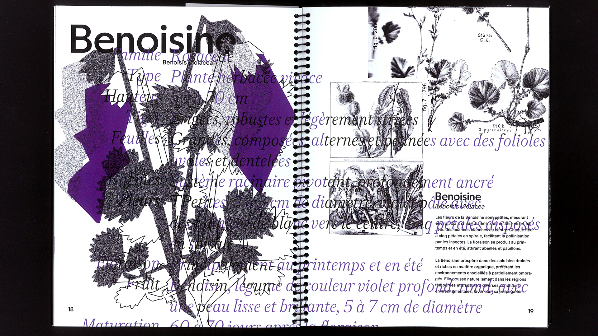 edition hybride, recette du futur, Marine Terrin, designer graphique 