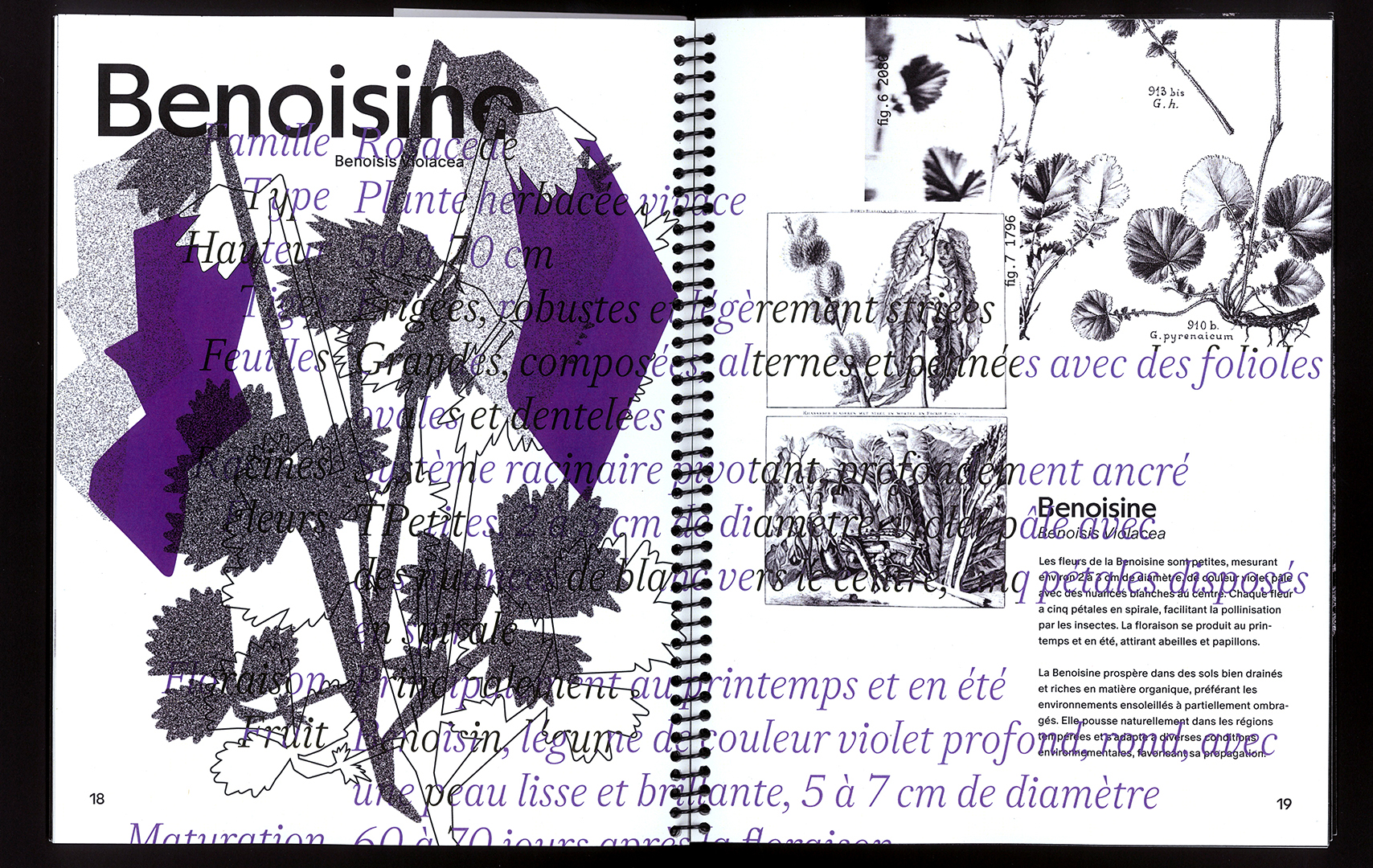 edition hybride, recette du futur, Marine Terrin, designer graphique 