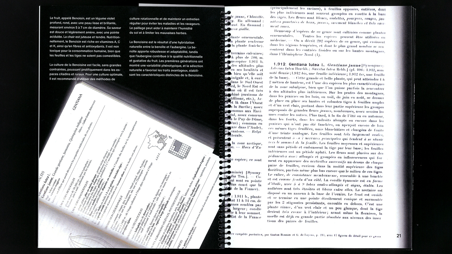 edition hybride, recette du futur, Marine Terrin, designer graphique 