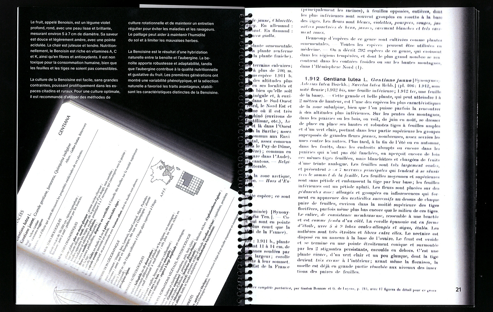 edition hybride, recette du futur, Marine Terrin, designer graphique 