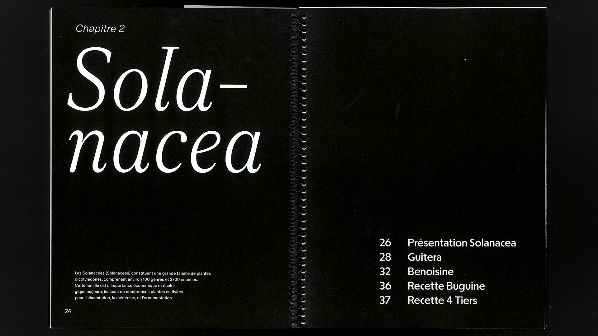 edition hybride, recette du futur, Marine Terrin, designer graphique 