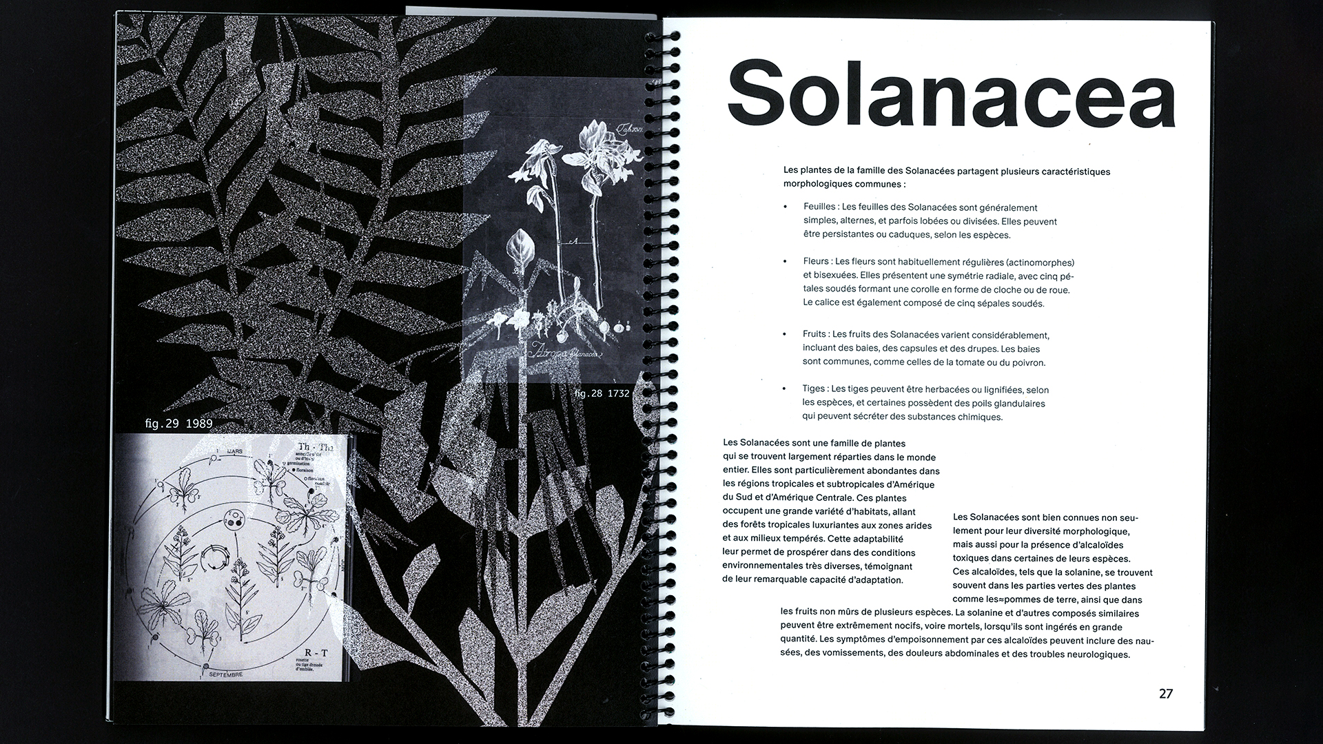 edition hybride, recette du futur, Marine Terrin, designer graphique 