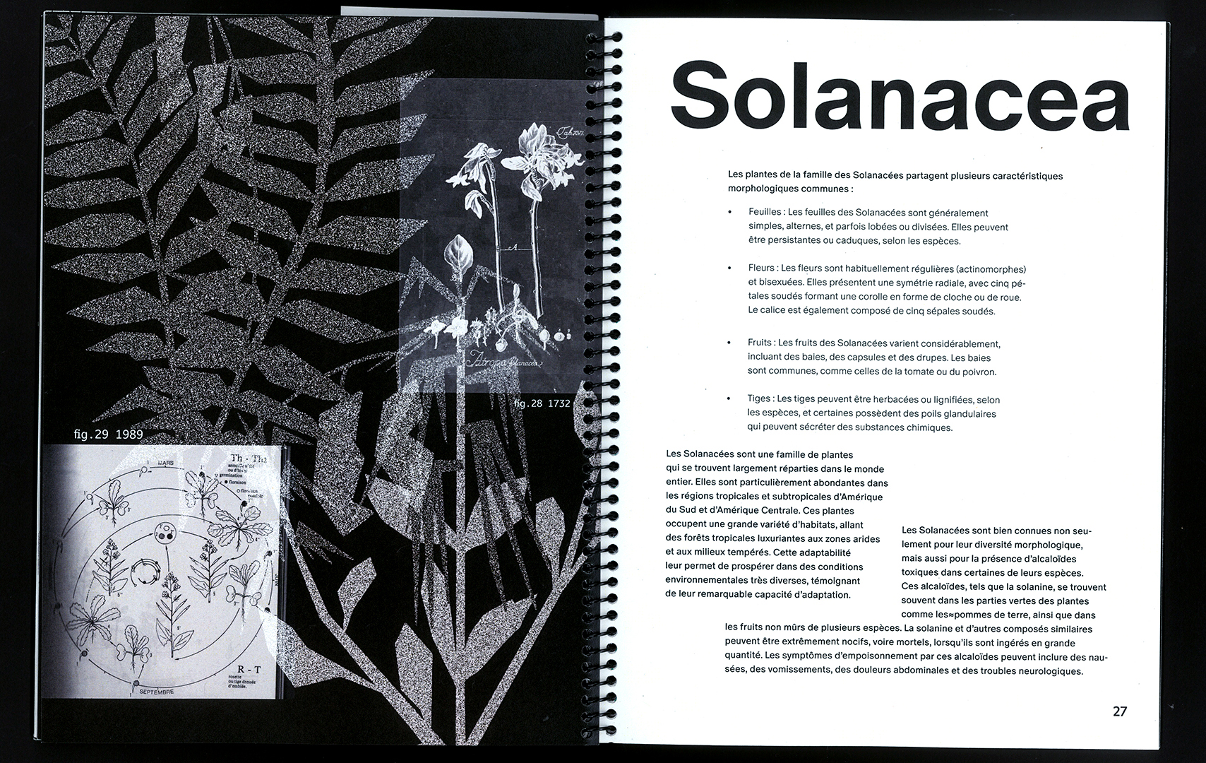 edition hybride, recette du futur, Marine Terrin, designer graphique 