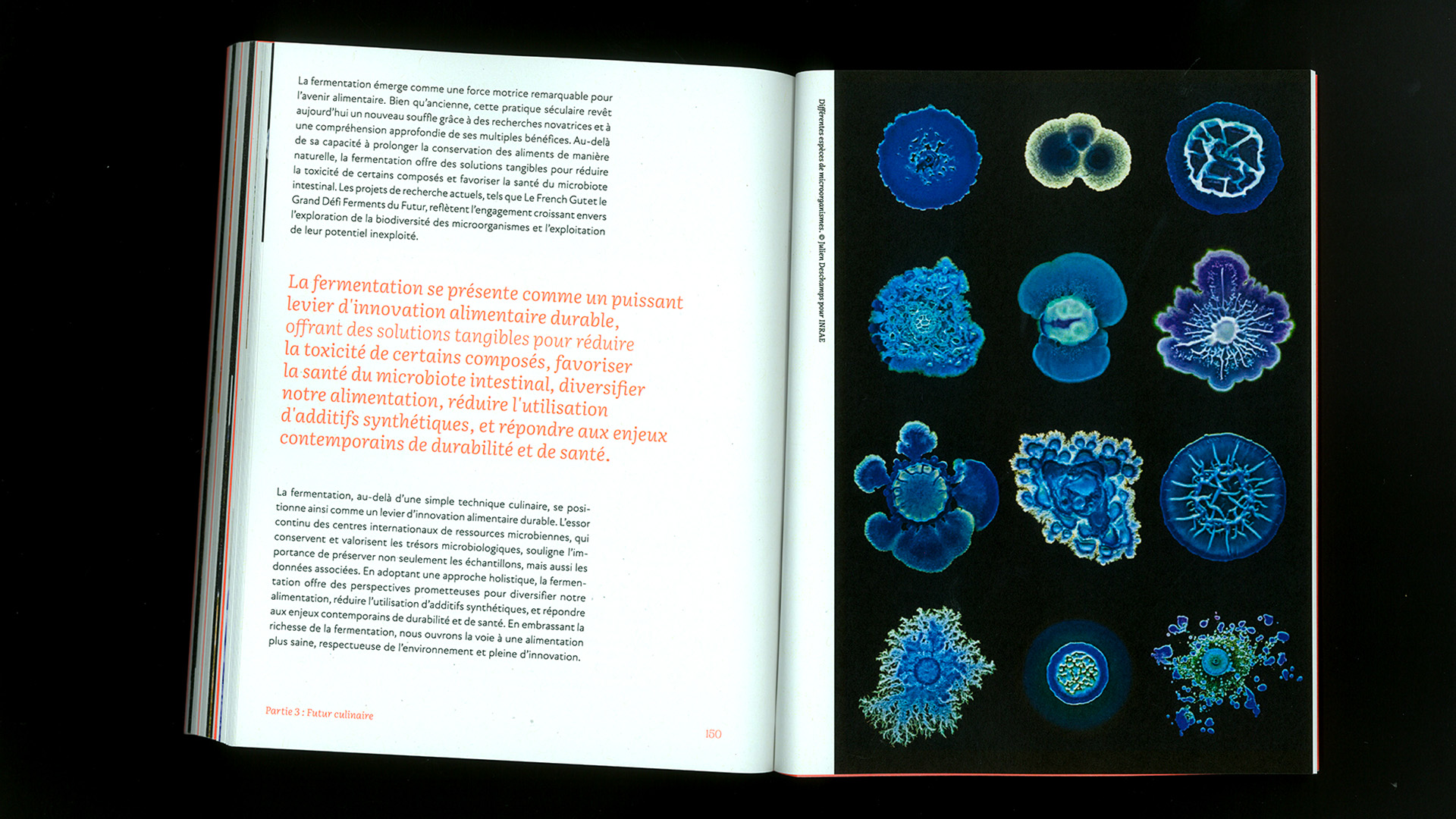 edition memoire, recette du futur, Marine Terrin, designer graphique 