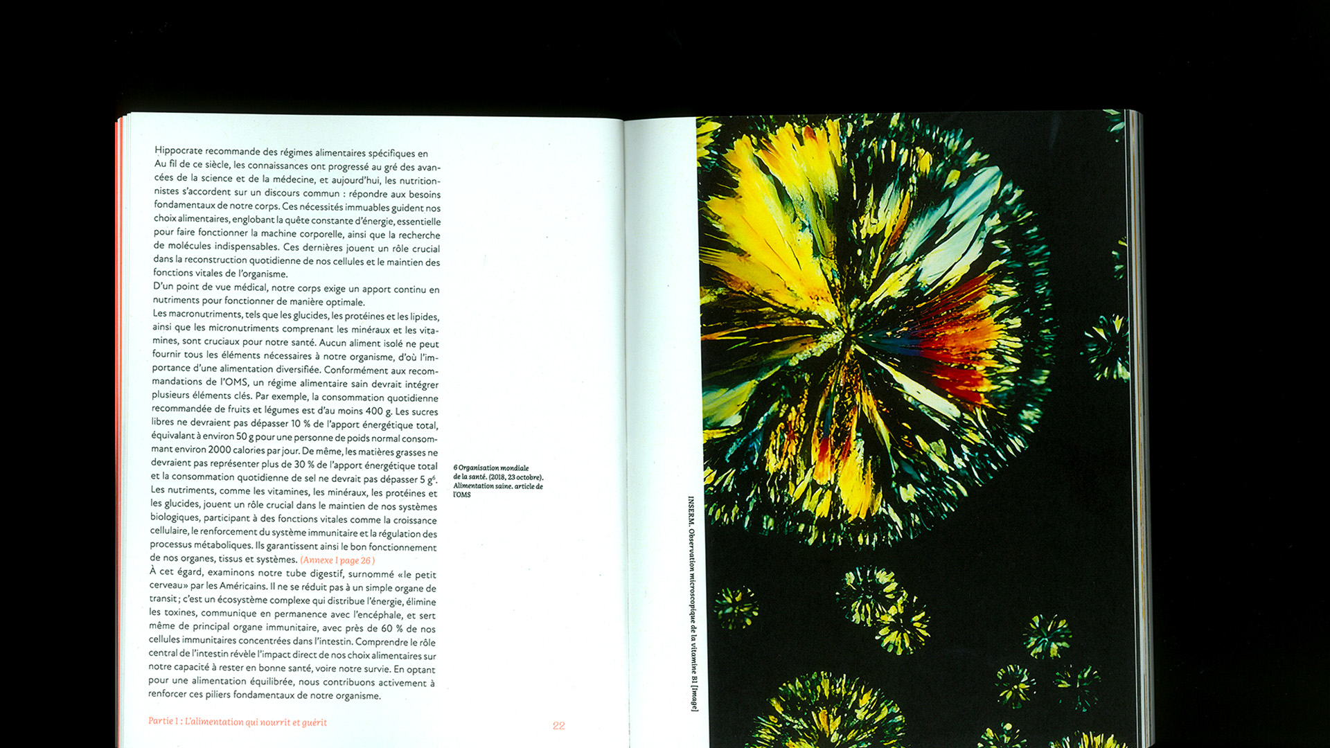 edition memoire, recette du futur, Marine Terrin, designer graphique 