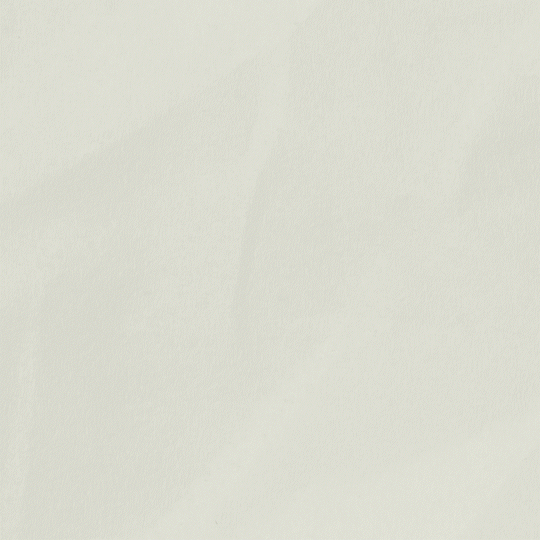 animation logo Prisma