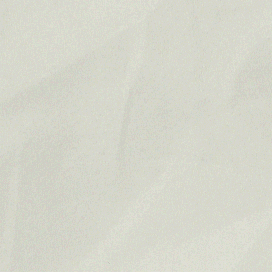 animation logo Prisma