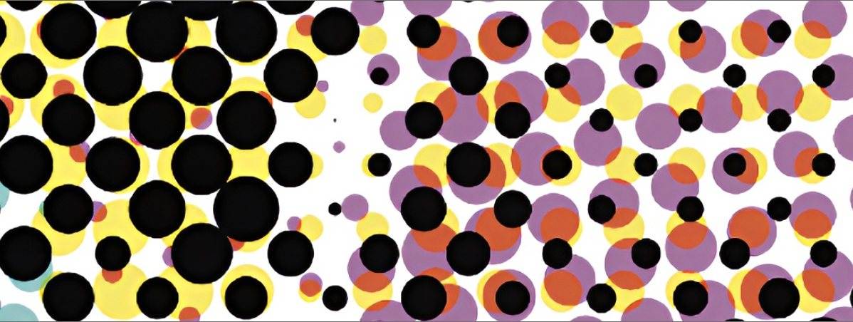 prisma image, designer graphique marseille, Marine Terrin